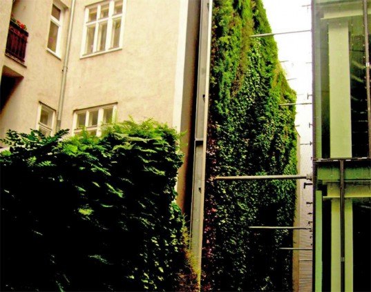Patrick Blanc Green Wall Sofitel Vienna Stephansdom Stilwerk “green wall”, “living wall”, Eco Architecture, ecotecture, france, green architecture, Green Building, green design, Green Wall Living Architecture, jean nouvel,Patrick Blanc, Green Wall, Sofitel Vienna Stephansdom-Stilwerk, Sofitel Vienna, vertical garden, green design, eco design, sustainable design