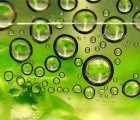 U.S. Department of Energy Announces New Biofuel for the Replacement of Gasoline