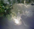 Forensic Study Finds Faulty Blowout Preventer to be Cause of BP Oil Spill