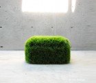Grass Ottoman Is a Living Growing Chia Chair
