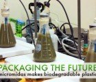 Packaging the Future: Micromidas Makes Biodegradable Plastic from Sewage