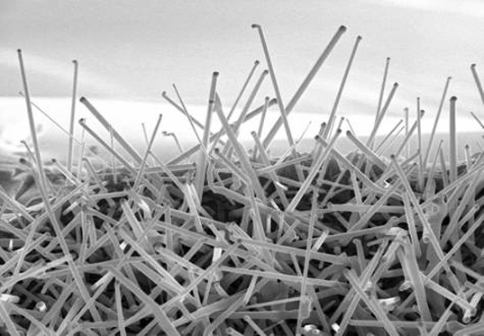 ever lasting batteries, georgia institute of technology, nano batteries, National Meeting & Exposition of the American Chemical Society, human movement batteries, nano batteries, renewable energy, human powered energy
