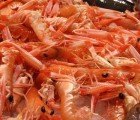 Food Giants Costco & Sodexo Pledge to Offer Only Sustainable Seafood