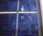 Breakthrough Invisibility Cloak Will Help Develop More Efficient Solar Cells