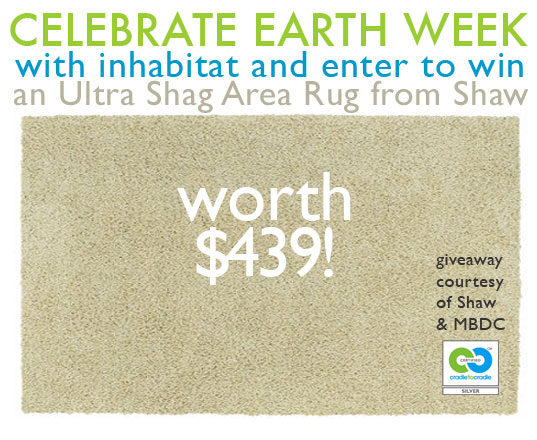 Shaw Rug Earthday Giveaway earth Day, Earth Week, MBDC, Cradle to Cradle certified, Cradle to Cradle philosophy, Cradle to Cradle, William McDonough, giveaways, free stuff, win this, green giveaways, earth day giveaways, earth week giveaways, earth day prizes, earth week prizes, earth month, shaw rugs, shaw shag rug, eco rugs