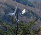 Clever Devices Turn Trees into Natural Wind Turbines Bases