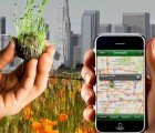 Greenaid Launches Website for Guerilla Gardeners