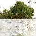 Former Renault factory Turned Into Green-Roofed School, eco-building, green building, green design, eco-design, sustainable design, green roof, ecosystem, Renault, France, Chartier Dalix,green architecture, school, native plants, fauna, living envelope