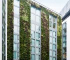 London’s Mint Hotel Unveils Europe’s Largest Living Green Wall