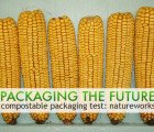 Compostable Packaging Test: Natureworks Ingeo Corn Cups