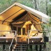 Paperbark Camp: Luxurious Eco Tents Nestled in the Australian Bush