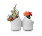 Vertical Gardens from Uribo are Designed for the City Gardener