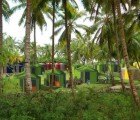 Amazing HaitiSOFTHOUSE Provides Immediate Disaster Relief for Communities