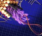 MIT Harnesses Viruses to Improve Solar Efficiency by a Third