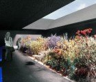 Peter Zumthor Unveils Sheltered Garden for 2011 Serpentine Pavilion