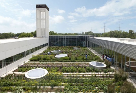 Gary Comer Youth Center Green Roof Gary Comer Youth Center Green Roof, Gary Comer Youth Center, Green Roof, planted roof, green design, eco design, sustainable design, vegetative roof, gary comer, hoerr Schaudt Landscape Architects