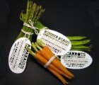 Zero-Waste Vegetable Packaging You Can Also Plant