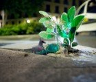 Guerrilla Gardening: Mini Ecosystem Installations On the Streets Of Madrid Take Root