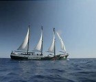 Rainbow Warrior: Greenpeace Building First Purpose-Built Sailboat to Fight Environmental Destruction