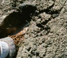 Orlando Turns Poop into Profit with Lucrative Sewage to Fuel Project