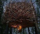 Twiggy Bird Nest Suite is One of 5 Awesome Rooms at The Swedish Tree Hotel