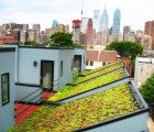 Sloping Roofs Planted with Succulents Top Each Bancroft Green Townhome in Philly