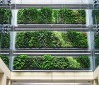 Britomart’s Leafy Three Storey Green Wall is New Zealand’s Largest