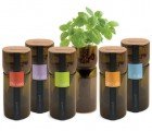Grow Your Own Hydroponic Garden With the GrowBottle