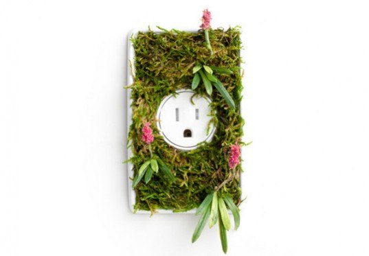 andrew harmon, energy conservation, energy saving switches, light switches, growth plate, green lighting, living light fixtures