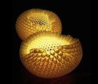 Glowing Nourishment Lamp Feeds the Eyes with Elegant Design