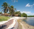 Marine Conservation Group Blue Ventures Wins 2011 Buckminster Fuller Challenge