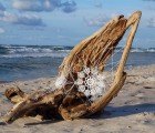 NeSpoon’s Delicate Doily Art Adorns a Stretch of the Baltic’s Oak Beach