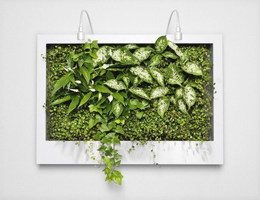 green design, eco design, sustainable design, living wall, greenscreen, Greenworks, Greenworks plantwall, plant walls, air purifier