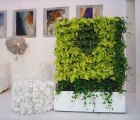 Greenworks’ Green Screen Brings a Lush Living Wall into any Sullen Space