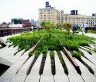 INHABITAT VIDEO: The Opening of the NYC High Line!