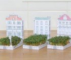 Matchcarden is a Miniature Paper House That Grows a Garden