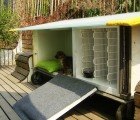 Y-town Recycles Old Refrigerator Into Dog House for Adopted Pup!