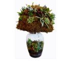 Sprout Living Lamp Doubles as a Lush Terrarium