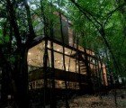 Low Impact Apollo 11 House Lands Silently In the Forest As A Quiet Observer