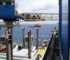 Russian Oil Exploration Threatens Gray Whale Population