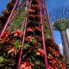 Solar-Powered Supertrees Sprout at Singapore’s Gardens by the Bay – New Photos!