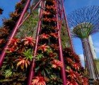 Solar-Powered Supertrees Sprout at Singapore’s Gardens by the Bay – New Photos!