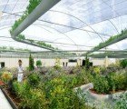 Dutch Polydome Could Be Used to Provide the Majority of NYC’s Food