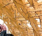 Japanese Students Build a Pavilion from Thousands of Fish to Support Tsunami Reconstruction Efforts