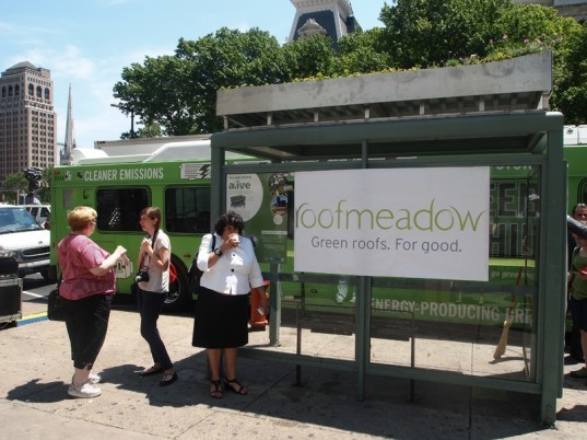Philly Gets a Bus Stop Green Roof philladelphia, philly, bus stop green roof, green bus stop, roofmeadow, city green roof, urban green roof, urban planning, green urban planning, sustainable urban planning, green spaces