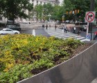 Philadelphia Plants Its Very First Bus Stop Green Roof!