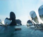 Gorgeous Floating Water Lily Islands Soak Up Solar Rays