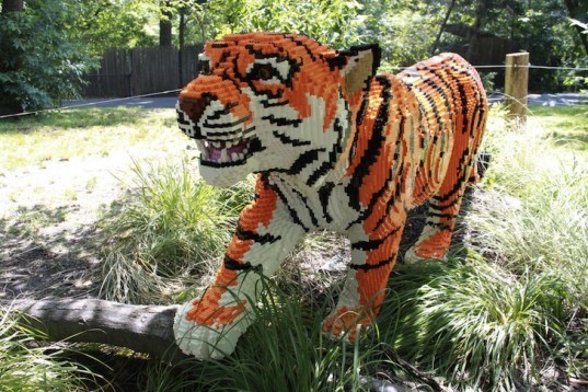 Bronx Zoo LEGO animals, lego animals, lego statues, bronx zoo legos, lego statues bronx zoo, legos
