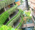 Canal City: An Eye-Popping Japanese Mall Filled with Hanging Gardens and Cooling Pools