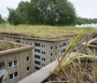 Artist EVOL’s Rural City Installation Tops Off a Scale Community with a Green “Roof”